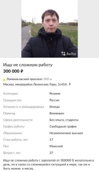 Возьмите на работу: нестандартные резюме, которые вышли боком