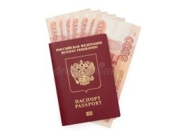 Инстаблогершу и «исполнительницу желаний» Блиновскую проверит полиция и прокуратура