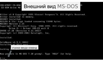 Минусят те, кто DOS, только по мемам  знает?