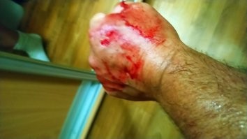 Хотел погладить моего котика-дикаря. Характер у него, однако...