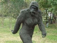 Известное видео со снежным человеком улучшили с помощью нейросети