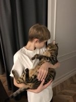 30 котонянек, которые отлично справляются со своей работой
