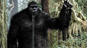 При увеличении видно же что этот костюм :)