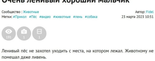 Какой это "ливень"? 
Автор вообще ливень когда-нибудь видел?..