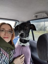 Почти на всех фото макияж однотипный и женщины стали похожи как родственницы. У многих и так красивые глаза, надо чуточку подчеркнуть, добавить акцент губами и уже лучше. Но не как штамповка одинаковых куколок. У многих просто проблема с кожей. Надо не шпаклевать, а лечить и от солца беречь. Если кожа будет свежо и здорово выглядеть, то многослойная штукатурка вообще не нужна! Вот собралась на прогулку с собаней. Макияж занял менее 10 минут. Никаких штукатурок, только немного теней, тушь на ресницы и помада.  Это зима. Летом и того меньше.