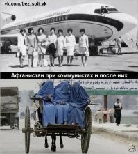 Талибы* ткнули Хиллари Клинтон носом в секс- скандал с её мужем и в американский бардак