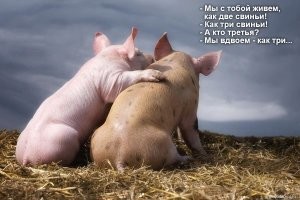 История двух орденов