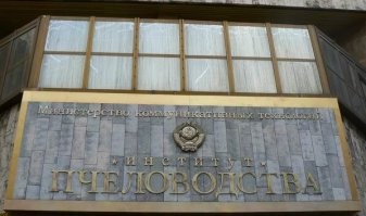 Не ищите здесь смысл. Здесь в основном маразм