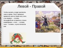 Фотоприколы и&nbsp;прикольные картинки