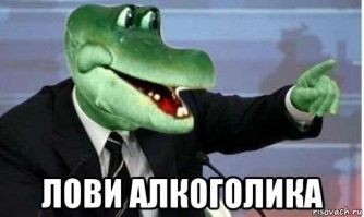 Голодный крокодил заявился на пикник и украл контейнер с пивом