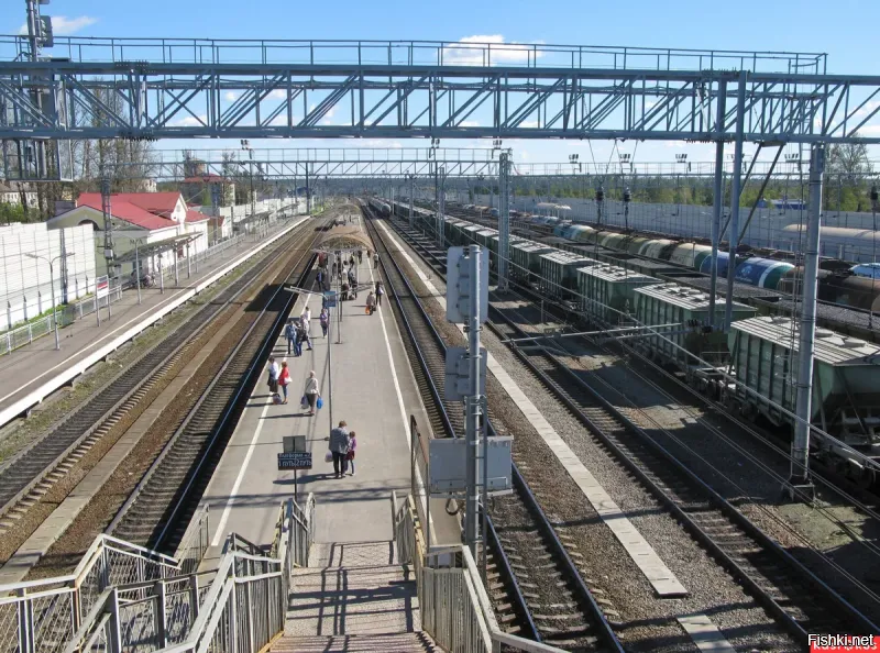 Волхов-150км., Тихвин-220км. Не вижу ануса.....