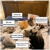 Есть в России для него идеальная пара...