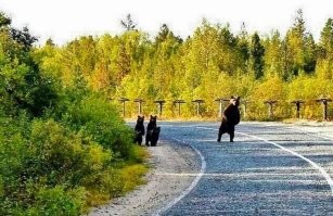 15 забавных моментов, которые сложно выкинуть из головы