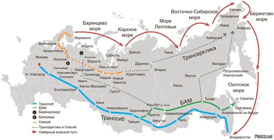 Разработка проекта транспорта сибири и дальнего востока