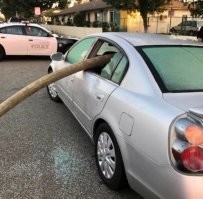 Жаль не твоя машина,животное.