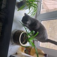 Жиза. Задолбала. Сжирает постоянно.