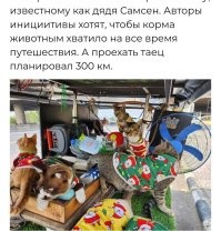 На все полдня хватило? 
Офигеть, путешествие. 300 км. 
Как мне на дачу и обратно съездить.
