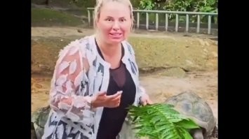 Да Вы оптимист...Теперь вот так: