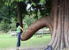 Фотоподборка