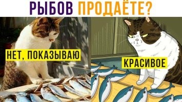 Художница превращает известные мемы с котами в забавные иллюстрации