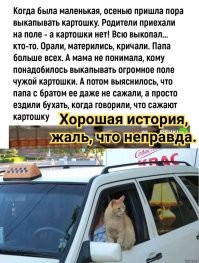 Комментарии и картинки из соцсетей. Свежак за 26 марта