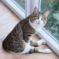 Даже в кино такого не увидишь. К чему может привести отвалившееся колесо