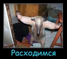 быть пьяным
.
Ребята, он нас раскусил.