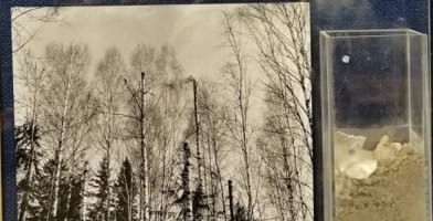 Что-то негусто. Три фотографии мятой обшивки самолёта - и всё? В открытом доступе и так больше фотографий оттуда, и гораздо более информативных.