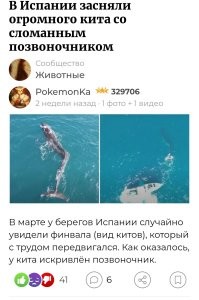 Кит, страдающий сильным сколиозом, замечен у берегов Испании