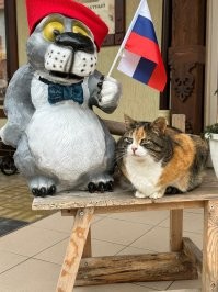 Абсолютно точно! У нас городские котовичи на пирс к рыбакам даже не заглядывают. Рыбаки от щедрот сами носили, но игнор полнейший был. А котов у нас в городе дох..... Много, короче.))