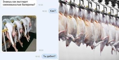 Фотоприколы и&nbsp;прикольные картинки