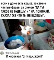 Да щас, ага! Коронная: "Ну и какого хрена просила, я ж говорила, что не будешь!"