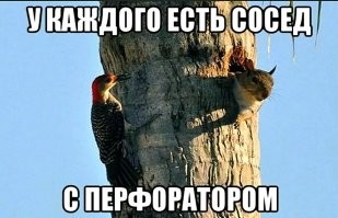 Как будто сверлили перфоратором: на глубине 2 км в океане нашли загадочные ряды отверстий
