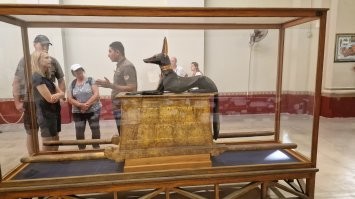 Вот анубисы это загадочные существа
