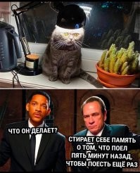 Фотоприколы и&nbsp;прикольные картинки