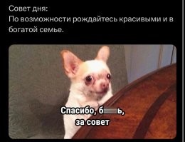 Фотоприколы и&nbsp;прикольные картинки