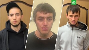 Турист подрался с обезьянами в Таиланде, защищая сына