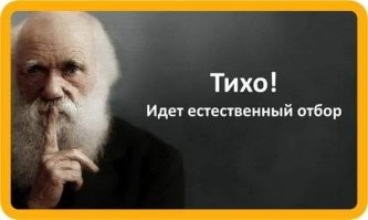 Основатель «СберМаркета» и его подруга отравились плацентой