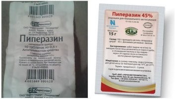 Пёс вытирает лапы после прогулки