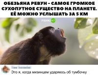 Фотоприколы и&nbsp;прикольные картинки