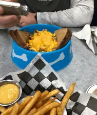 Что тебе собака, ещё не нравится!