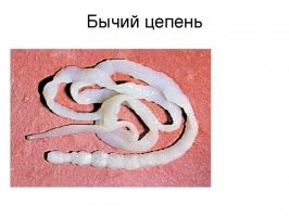 Это лечится, не переживайте и приятного аппетита.