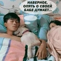 Бесплатные картинки с комментариями из социальных сетей