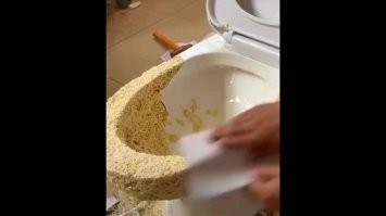 Дед сделал только половину работы! Не жди милостей от муниципалитета - твори сам!
Лапша с добавкой клея творит чудеса!