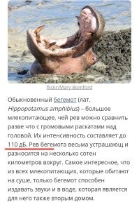 Ну... Как бы...