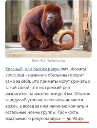 Ну... Как бы...