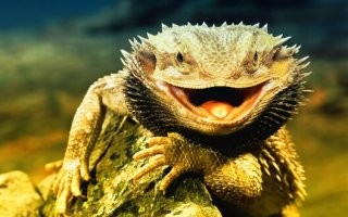 Всё в нашем мире субъективно