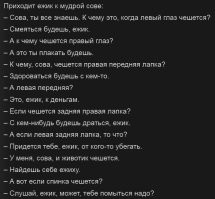 Топ-10 самых маленьких насекомых в мире