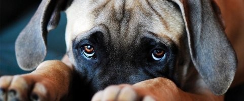 10 классных книг с различными концепциями конца света