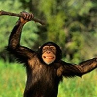 В Москве шпана напала на бездомного и избила его телескопическими дубинками